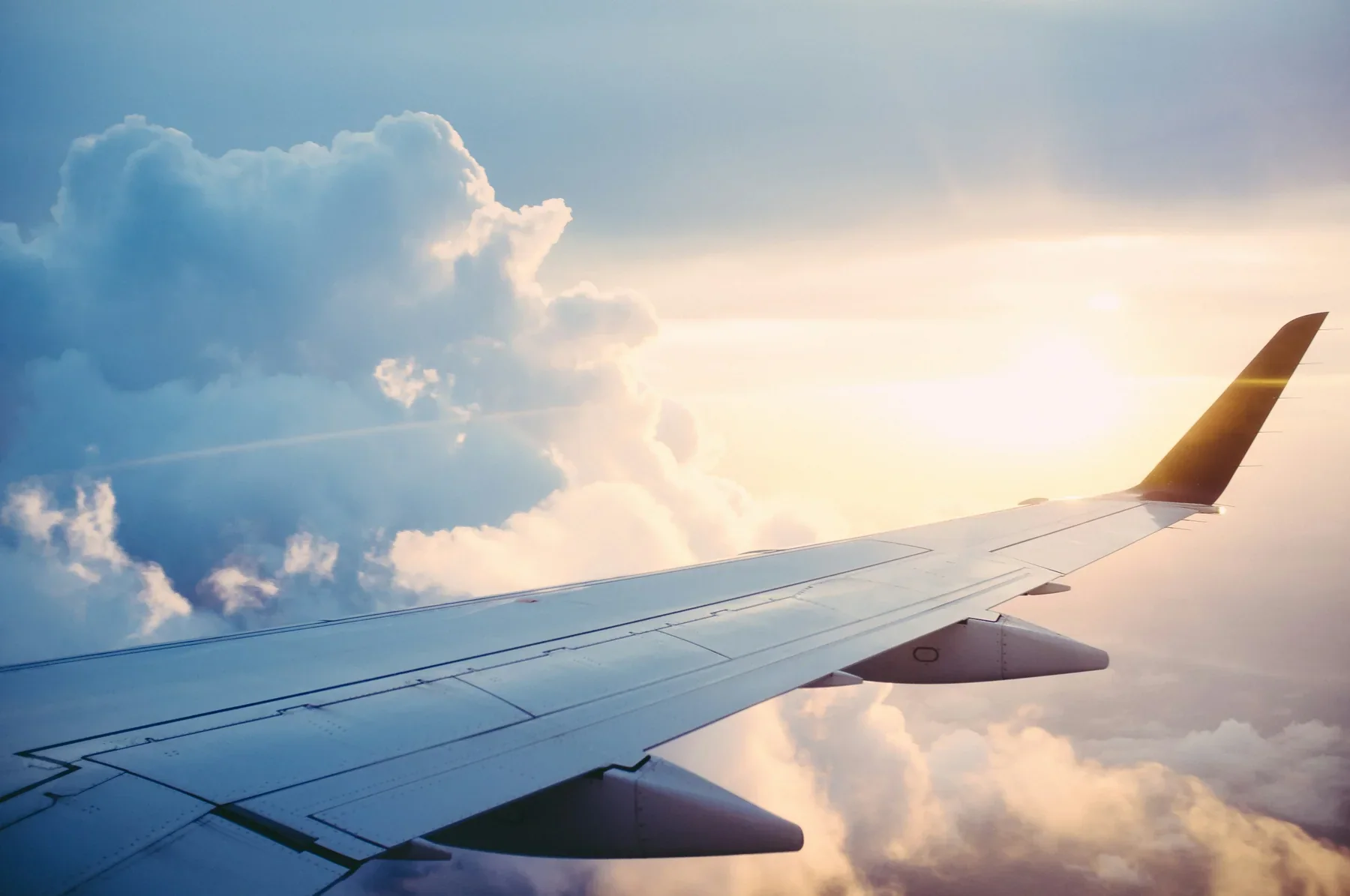 Airplane wing during flight